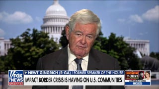 There is a legitimate concern over illegal immigrants voting: Newt Gingrich - Fox News