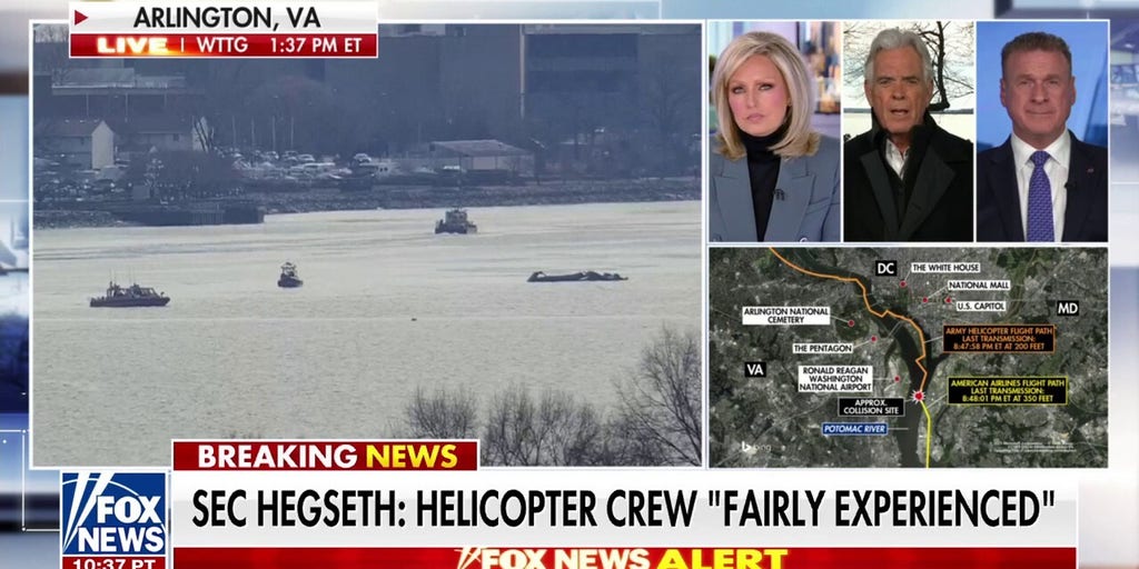 DC plane crash an 'unusual cascade of events,' says aviation expert