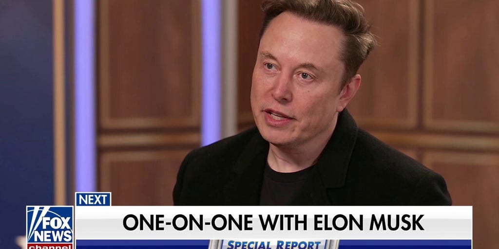 'TAKING A SERIOUS LOOK AT THE FRAUD': Elon Musk and the DOGE team lay out their plans