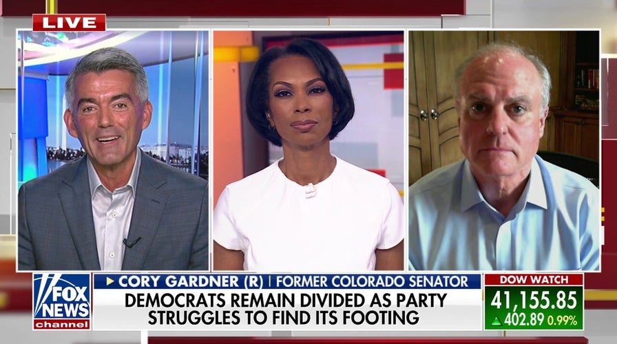 Democrats are united in 'stupid' ideas, says former GOP senator