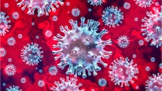 How long will coronavirus last in the US?