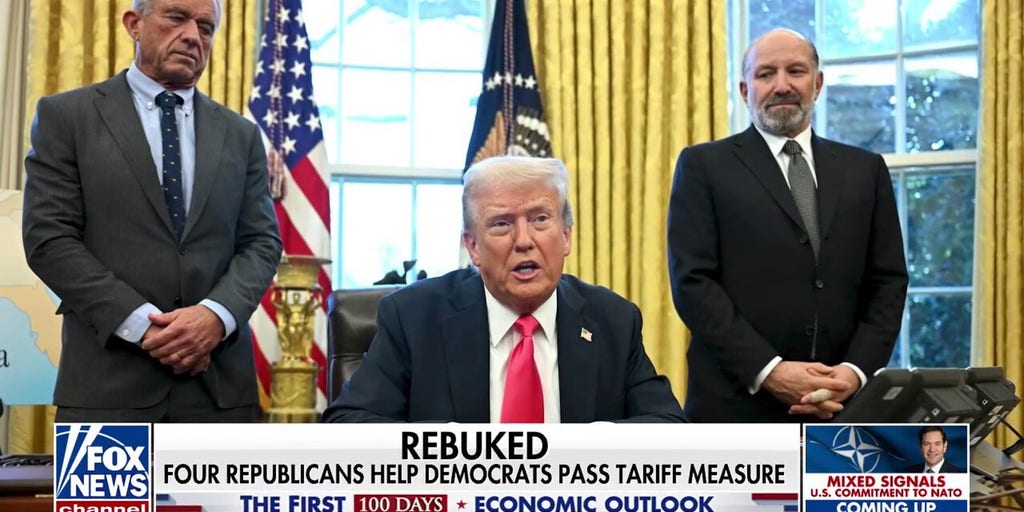 Congress divided over President Trump's tariffs