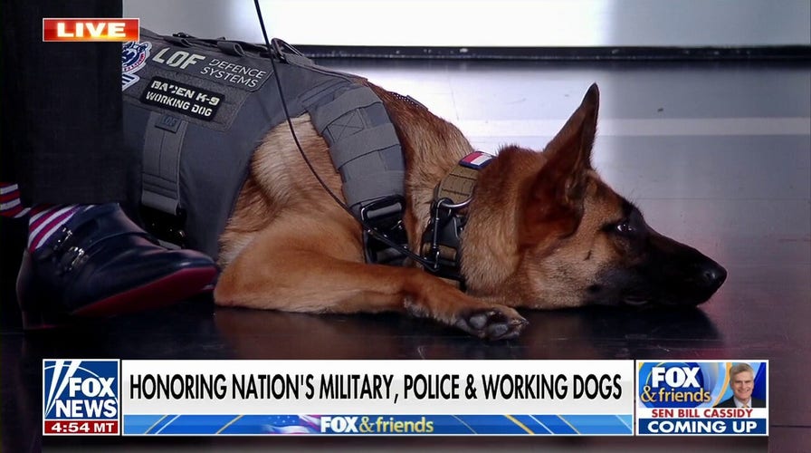 Celebrating National K-9 Veterans Day