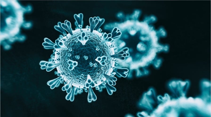 Study suggest coronavirus has mutated into dozens of strains