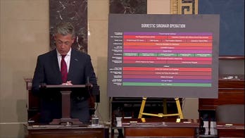Senator Jim Banks blasts Singham network on the senate floor