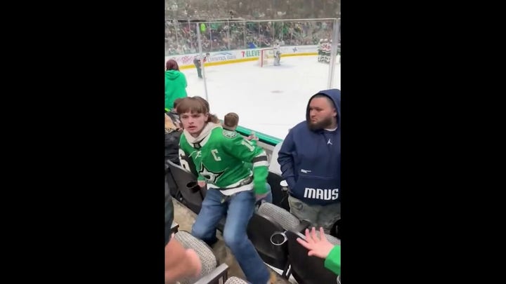 NHL fans fight each other during Dallas Stars game