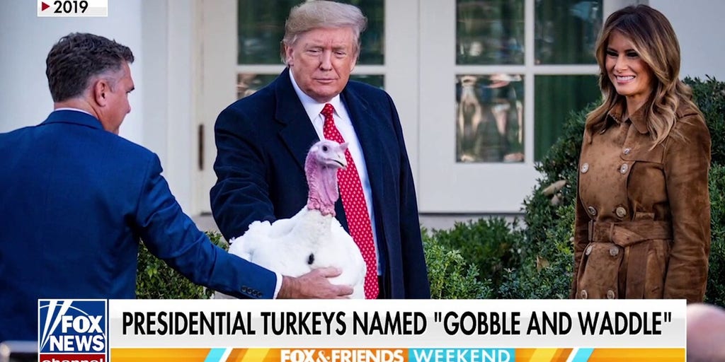 Turkeys set for presidential pardon, named 'Gobble' and 'Waddle' by FLOTUS poll