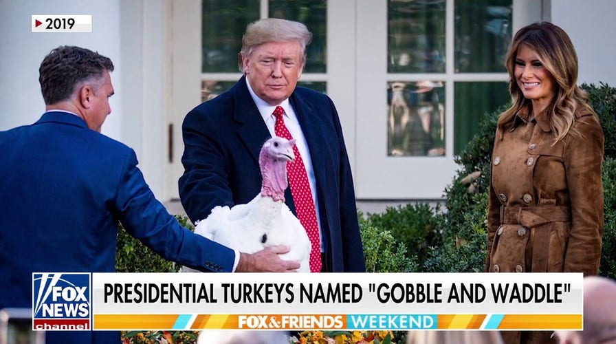 Turkeys acceptable   for statesmanlike  pardon, named 'Gobble' and 'Waddle' by FLOTUS poll