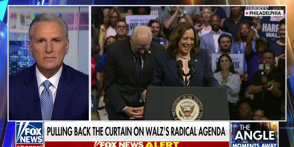 Kamala Harris' running mate is the 'choice that Ilhan Omar wanted': Kevin McCarthy | Fox News Video