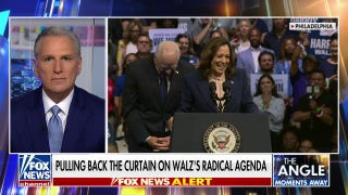 Kamala Harris' running mate is the 'choice that Ilhan Omar wanted': Kevin McCarthy - Fox News