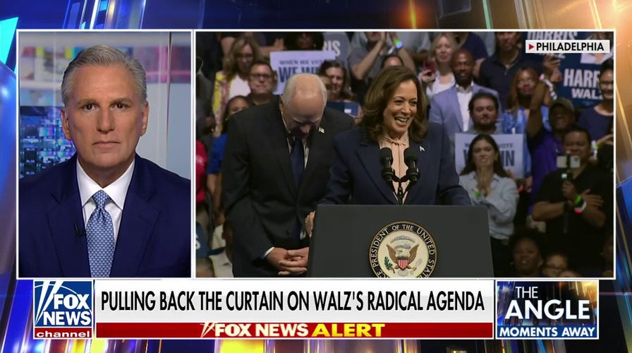 Kamala Harris' running mate is the 'choice that Ilhan Omar wanted': Kevin McCarthy