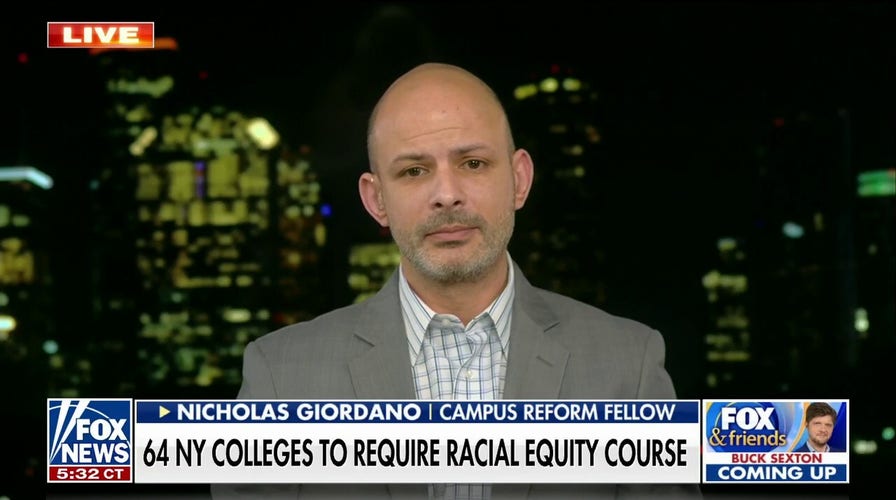 NY state colleges pushing 'extremely divisive' equity courses, SUNY professor warns
