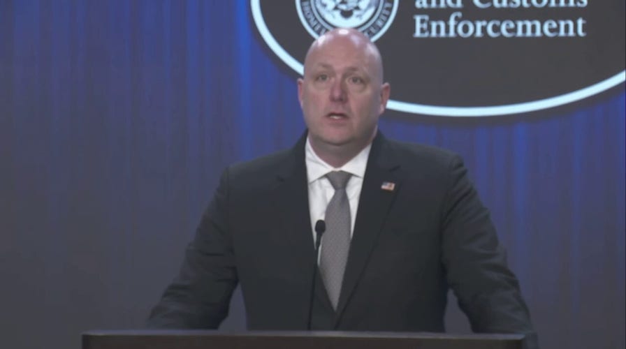 ICE announces arrest of 171 illegal immigrants in 25 US cities