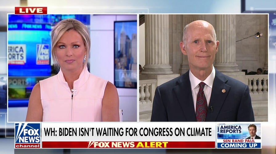 Sen. Scott slams Buttigieg: 'Completely out of touch'