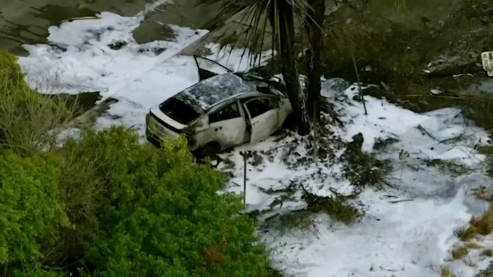 Florida small plane crash site seen from the air