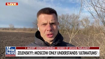 Ukrainian parliament member calls for more sanctions on Russia