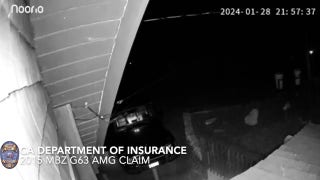 Bear that damaged luxury cars was actually a person in a costume, authorities say  - Fox News