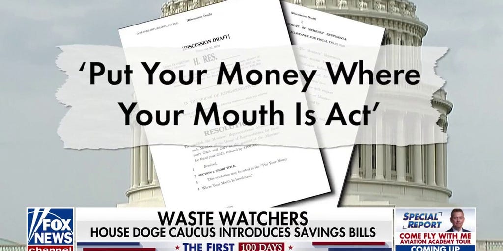 Elon Musk meets with Senate DOGE Caucus as government waste gets cut