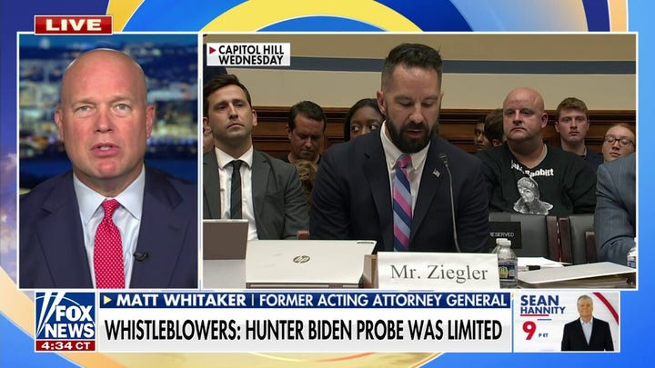 Democrats slammed for trying to 'score cheap political points' in hearing with Biden whistleblowers