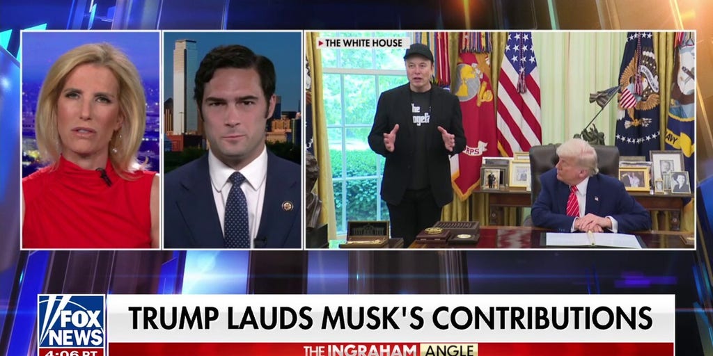 DOGE presents an ‘EXISTENTIAL’ threat to Democratic Party’s liberal movement, says GOP lawmaker