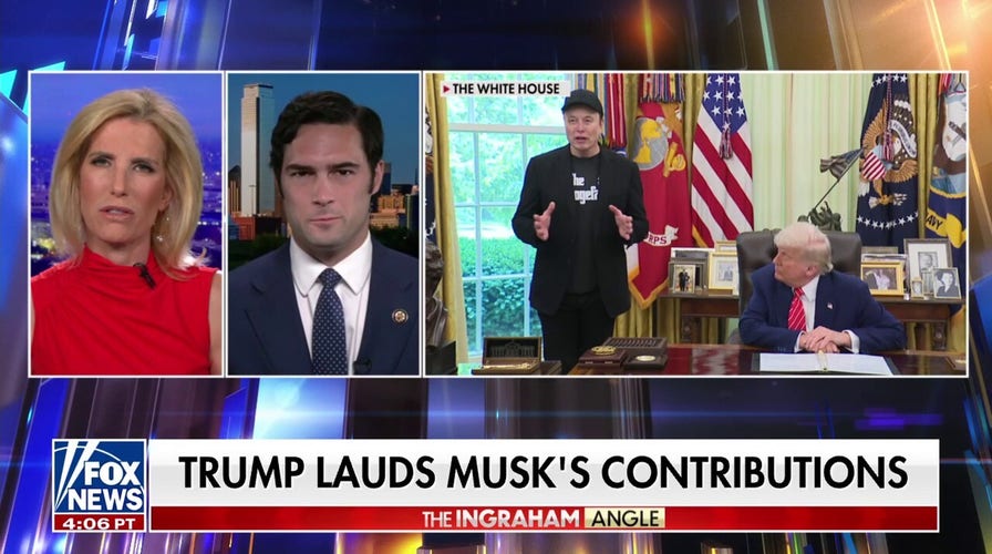DOGE presents an ‘EXISTENTIAL’ threat to Democratic Party’s liberal movement, says GOP lawmaker