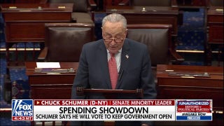 Senate Minority Leader Chuck Schumer announces how he will vote regarding government shutdown - Fox News