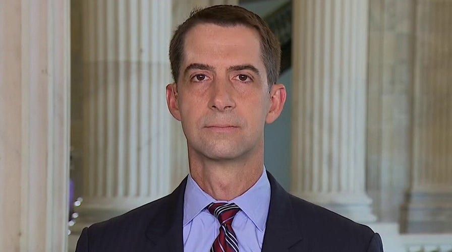 Sen. Cotton: Federal government can't stand for anarchists destroying its property 