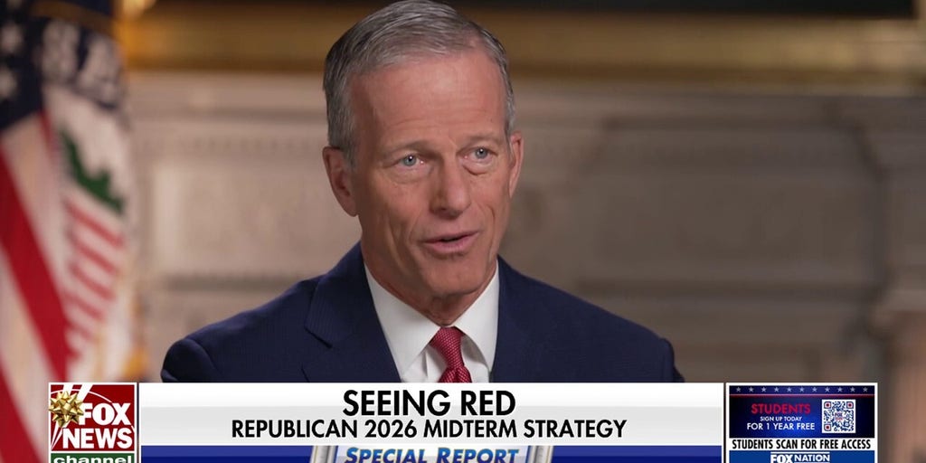 Senate majority leader addresses 'key' to GOP's 'strong turnout' in 2026 midterms