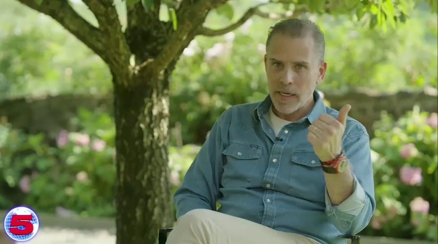 Hunter Biden says Dems had 'no guts' in 2024 election, failed to support Kamala Harris