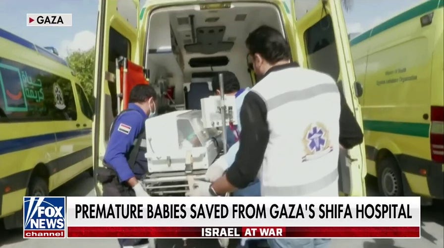 Premature babies evacuated, saved from Gaza's al-Shifa hospital