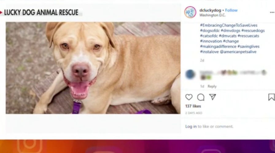 ‘America’s News HQ’ hosts on #CombatCOVID19Challenge