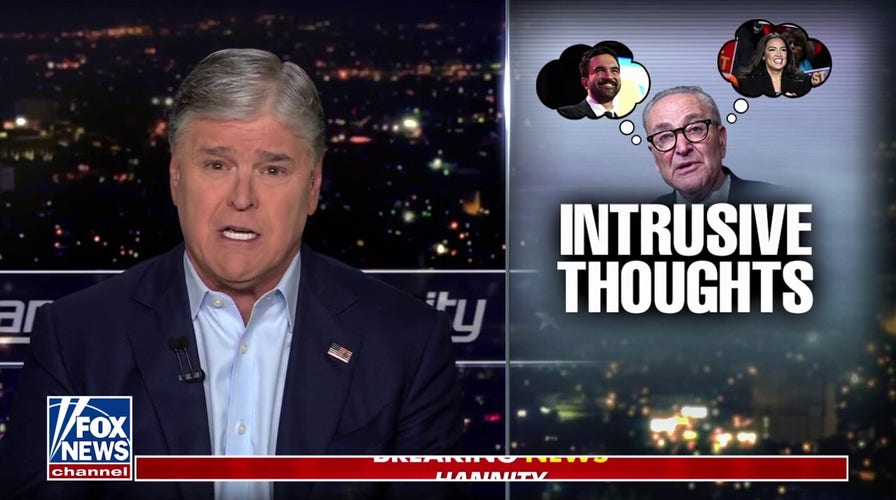 Sean Hannity: Democrats are the ones holding the country hostage