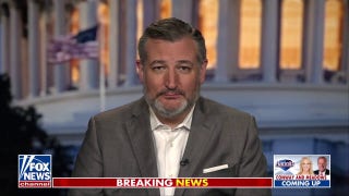 Trump's Cabinet is focused on change and results, Ted Cruz says - Fox News