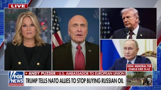 Trump is sending a 'strong message' to European allies, US ambassador says