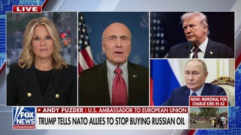 Trump is sending a 'strong message' to European allies, US ambassador says