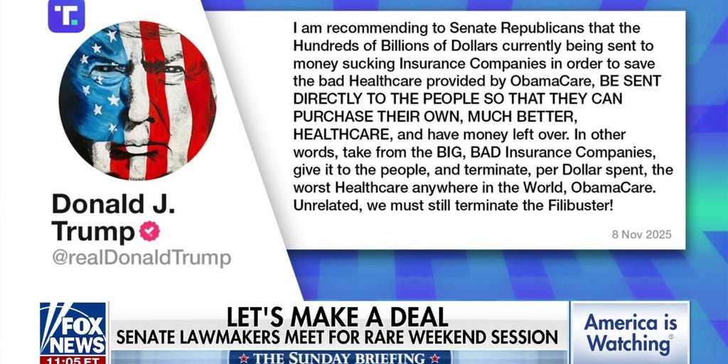 Trump proposes sending Obamacare subsidies as direct payments to Americans