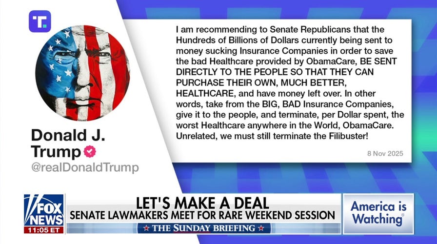 Trump proposes sending Obamacare subsidies arsenic nonstop payments to Americans