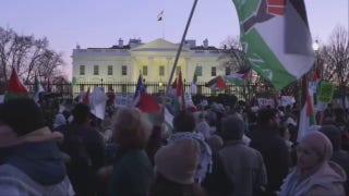 Pro-Palestinian rioters swarm outside White House, hurl objects at police hours after US launches Yemen strikes - Fox News
