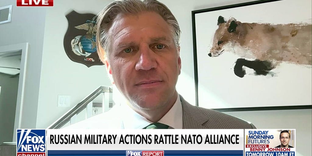 Putin making ‘deliberate effort’ to test limits of NATO airspace: National security expert