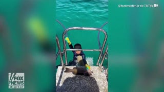Young boy bitten by shark amid spearfishing trip with dad - Fox News