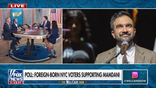 New poll shows Mamdani ‘dominating’ among foreign-born voters