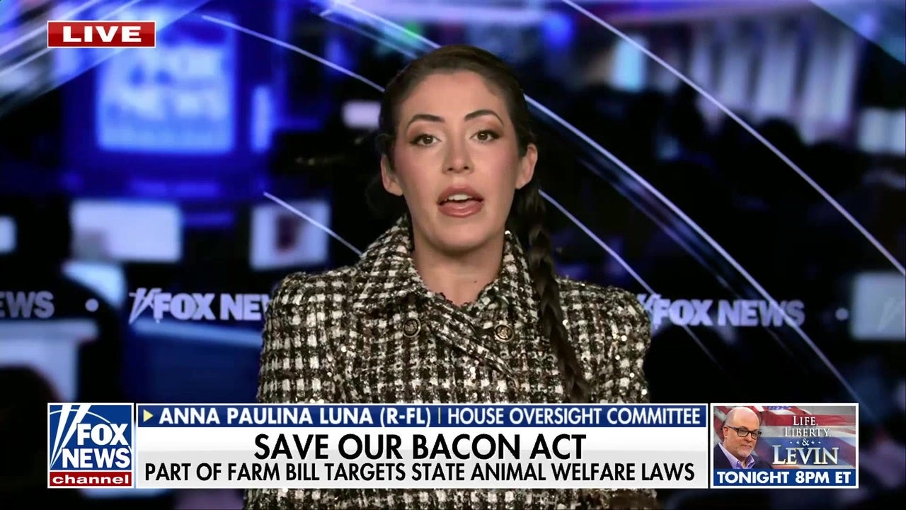 GOP lawmaker says ‘more to come’ on UAP files release