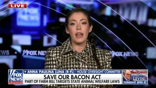GOP lawmaker says ‘more to come’ on UAP files release