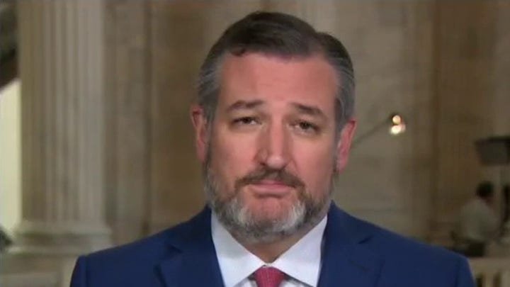 Sen. Cruz: Southern border 'worse than I've ever seen it'