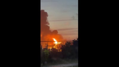 Lightning strike torches 100-foot dinosaur attraction at Kansas park