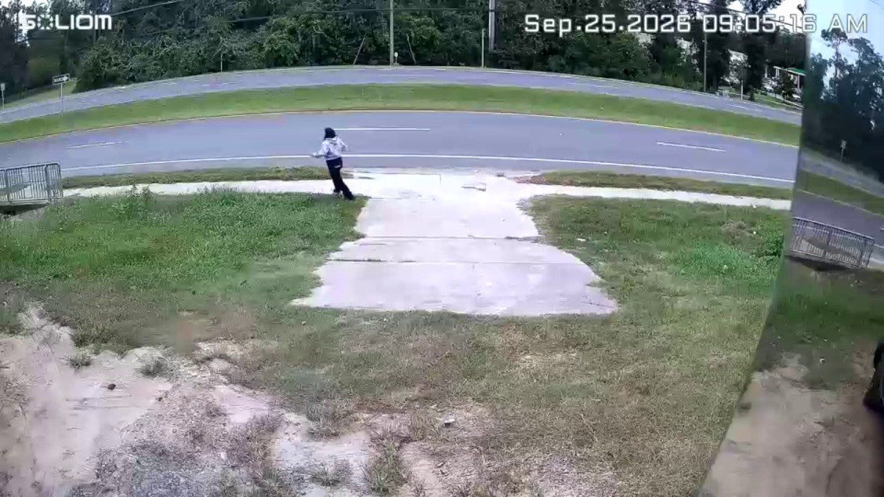 foxnews.com - Robert McGreevy - Video shows Florida food truck workers fleeing from ICE during Tallahassee immigration raid