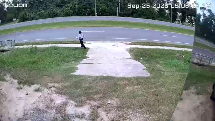 Food truck workers in Florida scramble as ICE officers rush to detain woman