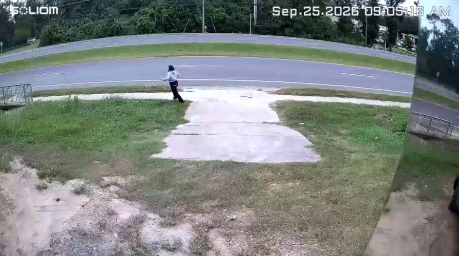 Food truck workers in Florida scramble as ICE officers rush to detain woman