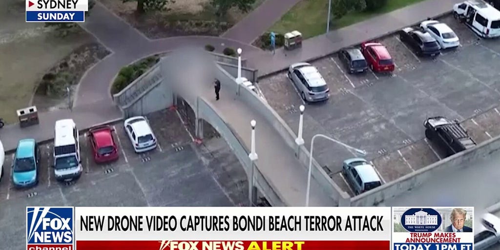 Australian police release 7 suspects after raid