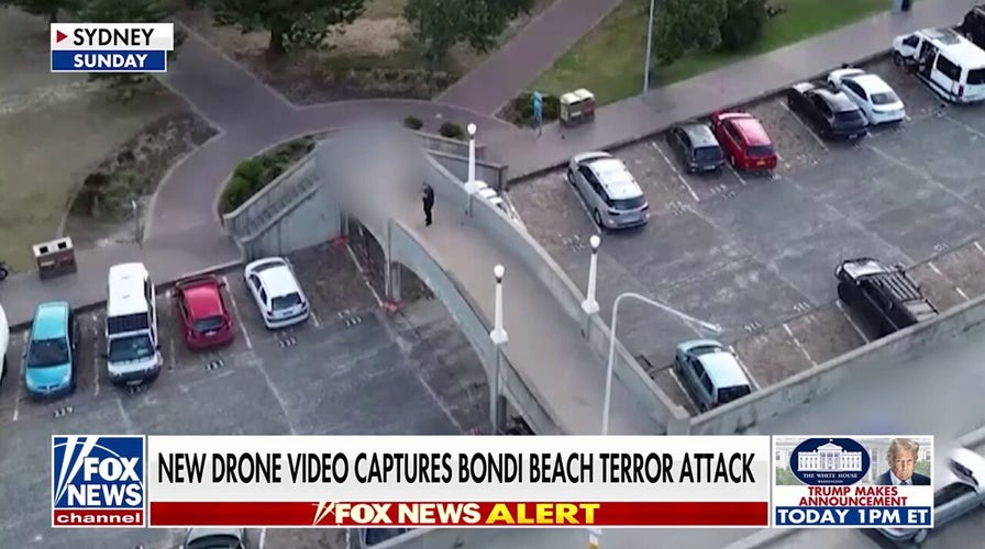 Australian police release 7 suspects after raid